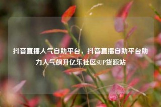 抖音直播人气自助平台，抖音直播自助平台助力人气飙升亿乐社区SUP货源站