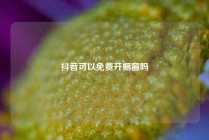 抖音可以免费开橱窗吗