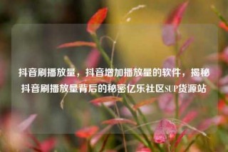 抖音刷播放量,抖音增加播放量的软件,揭秘抖音刷播放量背后的秘密亿乐社区SUP货源站