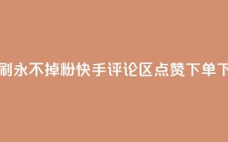 快手刷永不掉粉 - 快手评论区点赞下单