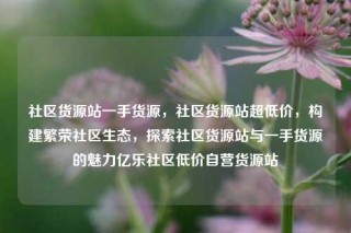 社区货源站一手货源,社区货源站超低价,构建繁荣社区生态,探索社区货源站与一手货源的魅力亿乐社区低价自营货源站