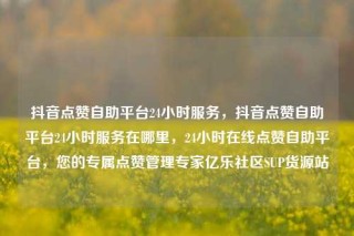 抖音点赞自助平台24小时服务,抖音点赞自助平台24小时服务在哪里,24小时在线点赞自助平台,您的专属点赞管理专家亿乐社区SUP货源站
