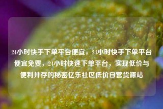 24小时快手下单平台便宜,24小时快手下单平台便宜免费,24小时快速下单平台,实现低价与便利并存的秘密亿乐社区低价自营货源站