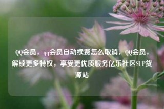QQ会员,qq会员自动续费怎么取消,QQ会员,解锁更多特权,享受更优质服务亿乐社区SUP货源站