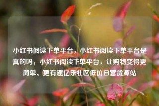 小红书阅读下单平台,小红书阅读下单平台是真的吗,小红书阅读下单平台,让购物变得更简单、更有趣亿乐社区低价自营货源站