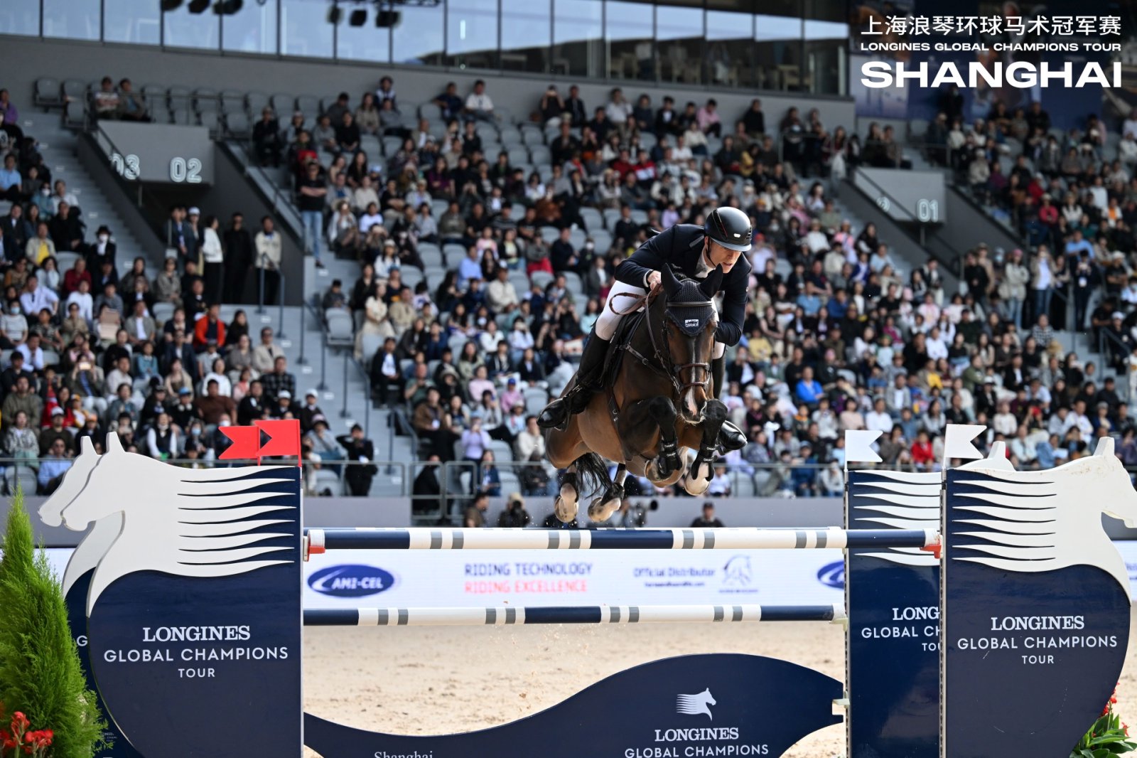 这一上海国际顶级马术障碍赛走近公众 第2张 这一上海国际顶级马术障碍赛走近公众 第2张