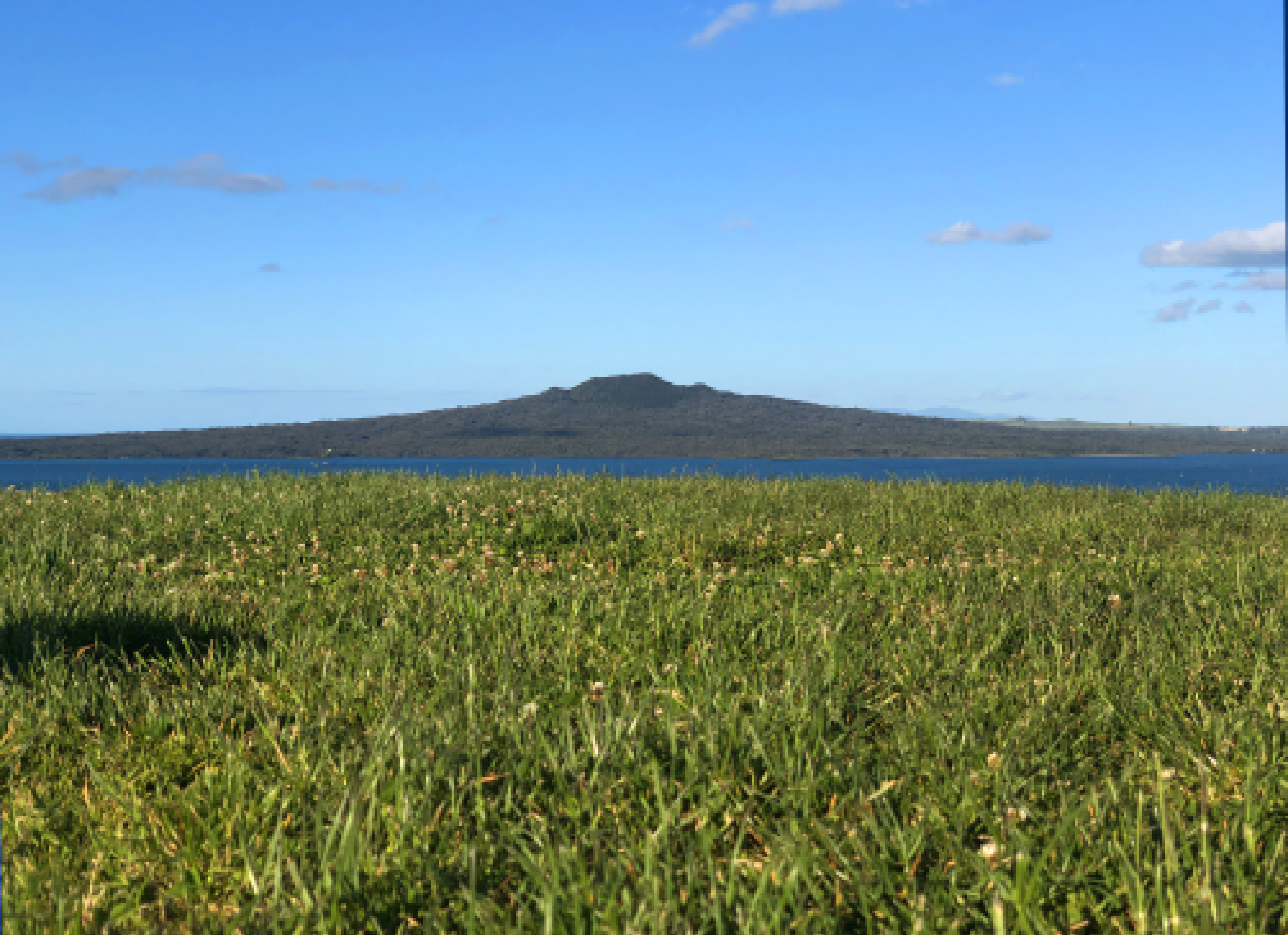 南十字星照亮天地  第6张 南十字星照亮天地  第6张