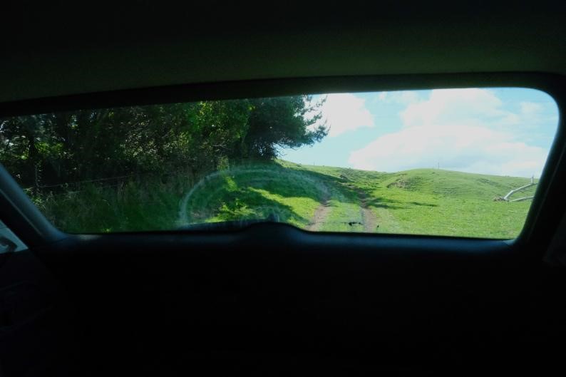 南十字星照亮天地  第8张 南十字星照亮天地  第8张