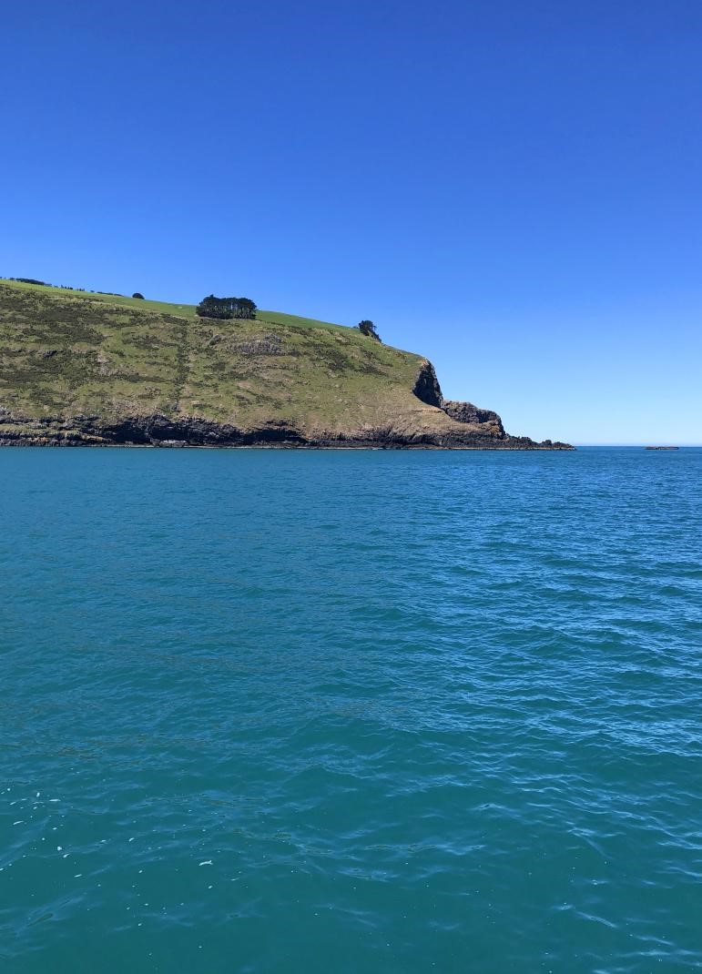 南十字星照亮天地  第11张 南十字星照亮天地  第11张