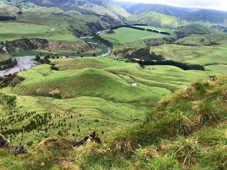 南十字星照亮天地  第9张 南十字星照亮天地  第9张