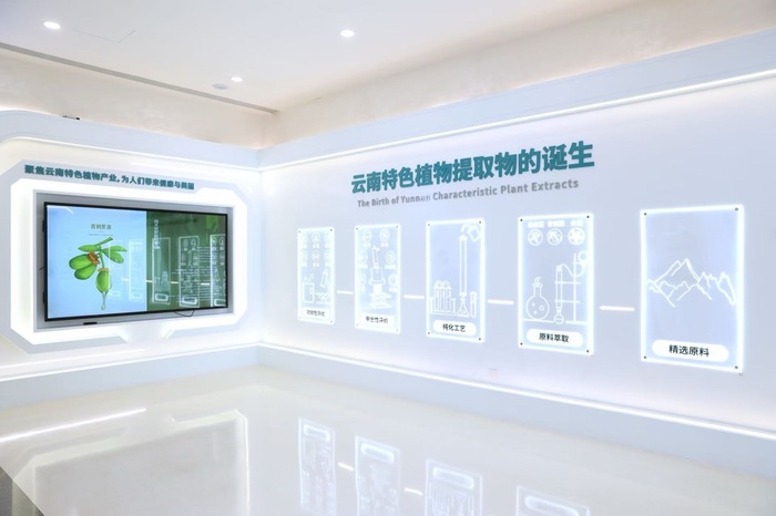 周期里扎根	，贝泰妮的生长曲线  第2张