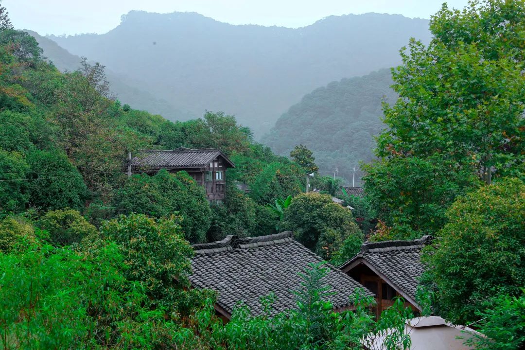 透视社会组织创新实践中的花开岭现象：与乡村发展的融合共进  第1张