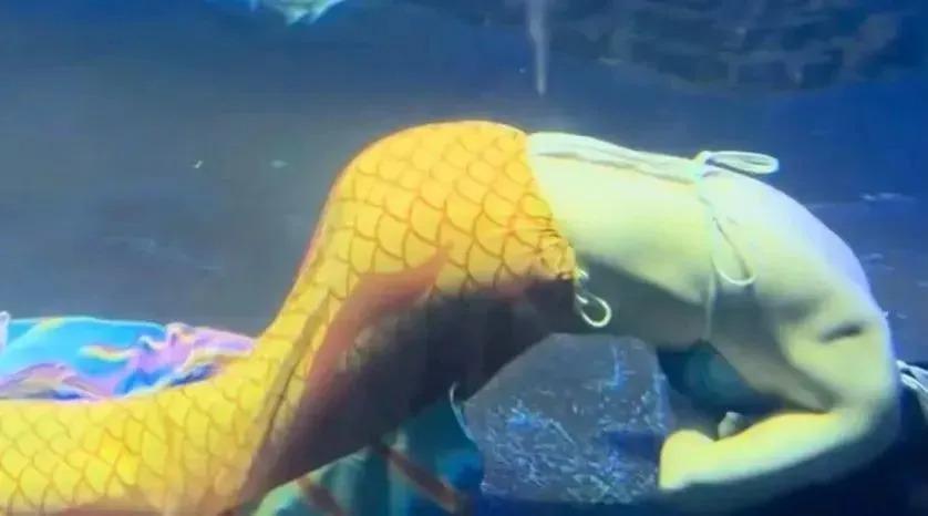 “美人鱼”女孩溺水进了ICU，危险的青春饭  第1张