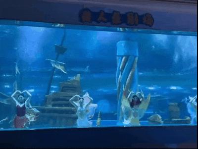 “美人鱼	”女孩溺水进了ICU，危险的青春饭  第6张