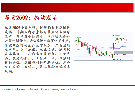 中天期货:棕榈震荡回落 白糖走势不稳  第15张