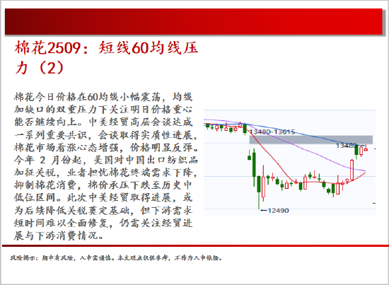 中天期货:棕榈震荡回落 白糖走势不稳  第12张