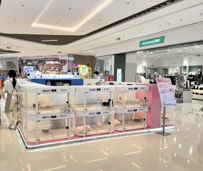 宠物智能舱公司创始人：节前产品爆单了	，还存在用创新获得高增长的机会｜在春天许一个愿望  第2张