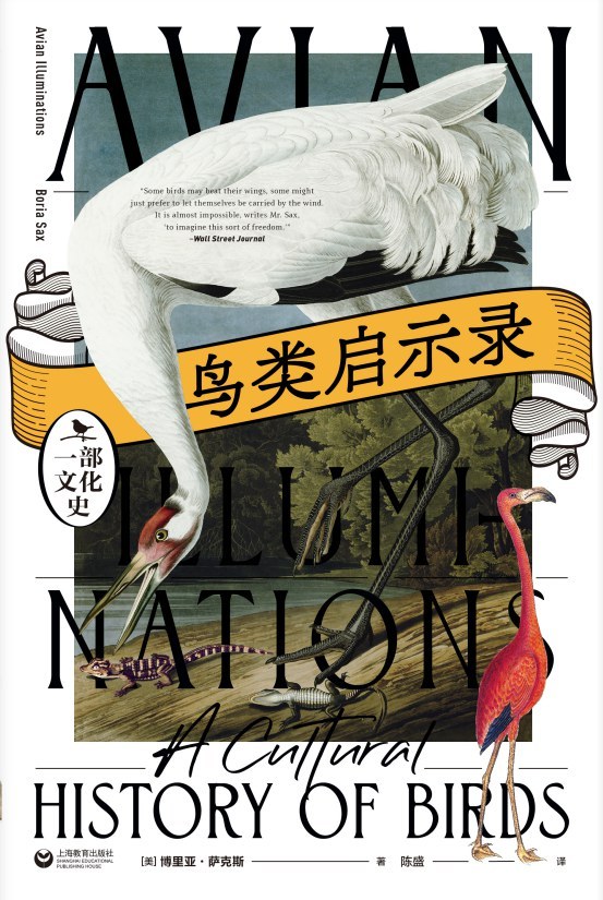 纪念是给无法安息的死者的礼物|一周新书推荐  第9张 纪念是给无法安息的死者的礼物|一周新书推荐  第9张