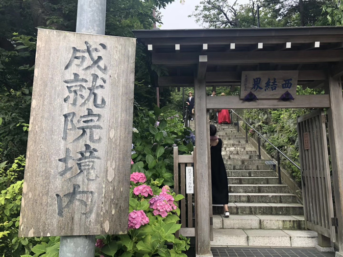 花开之处	，便是故地  第32张