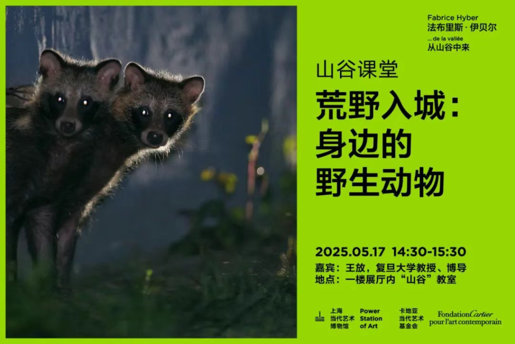 “走进书适圈”：一周城市生活  第19张