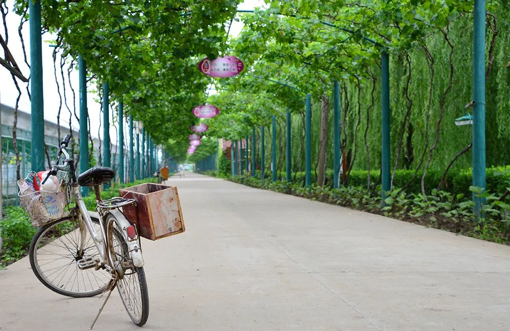 “走进书适圈”：一周城市生活  第25张