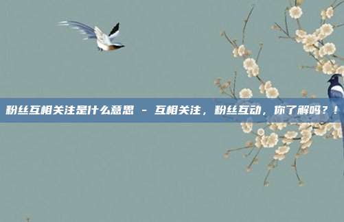 粉丝互相关注是什么意思 - 互相关注，粉丝互动，你了解吗？!  第1张