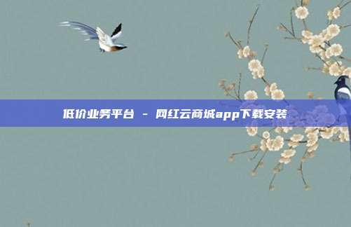 低价业务平台 - 网红云商城app下载安装  第1张