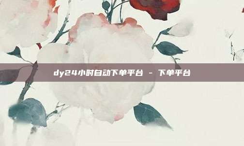 dy24小时自动下单平台 - 下单平台  第1张