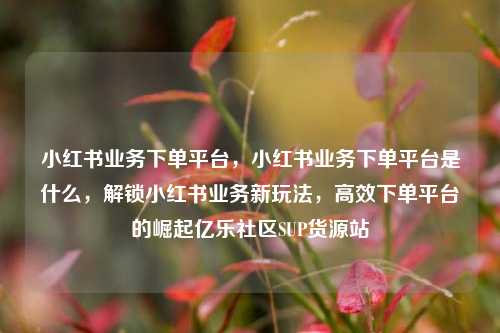 小红书业务下单平台	，小红书业务下单平台是什么，解锁小红书业务新玩法，高效下单平台的崛起亿乐社区SUP货源站  第1张