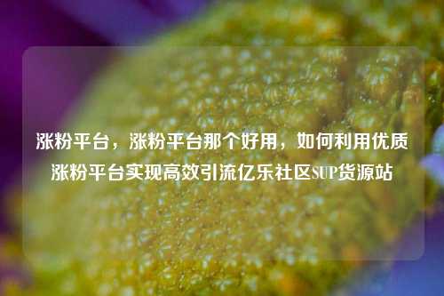 涨粉平台，涨粉平台那个好用，如何利用优质涨粉平台实现高效引流亿乐社区SUP货源站  第1张