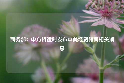 商务部：中方将适时发布中美经贸磋商相关消息  第1张