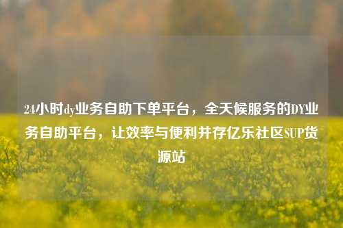 24小时dy业务自助下单平台	，全天候服务的DY业务自助平台，让效率与便利并存亿乐社区SUP货源站  第1张