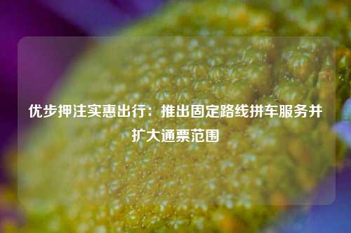 优步押注实惠出行:推出固定路线拼车服务并扩大通票范围  第1张 优步押注实惠出行:推出固定路线拼车服务并扩大通票范围  第1张