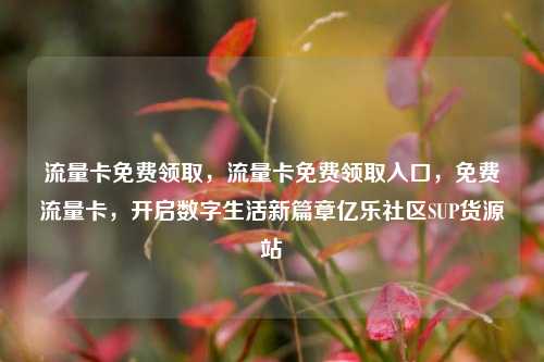 流量卡免费领取，流量卡免费领取入口	，免费流量卡，开启数字生活新篇章亿乐社区SUP货源站  第1张