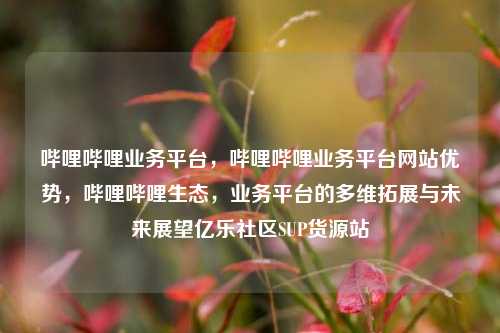 哔哩哔哩业务平台，哔哩哔哩业务平台网站优势	，哔哩哔哩生态，业务平台的多维拓展与未来展望亿乐社区SUP货源站  第1张