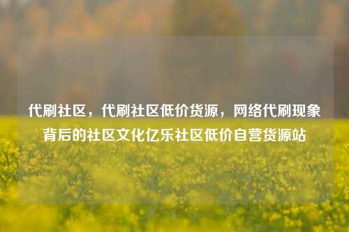 代刷社区，代刷社区低价货源	，网络代刷现象背后的社区文化亿乐社区低价自营货源站  第1张