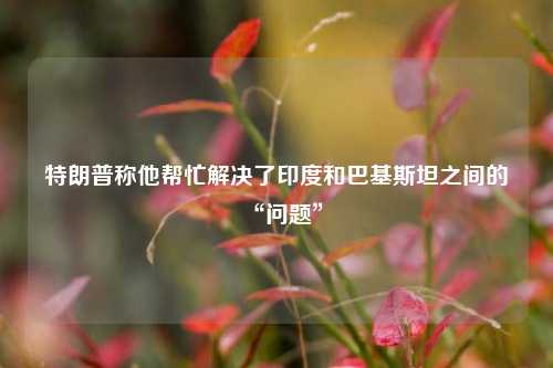 特朗普称他帮忙解决了印度和巴基斯坦之间的“问题”  第1张