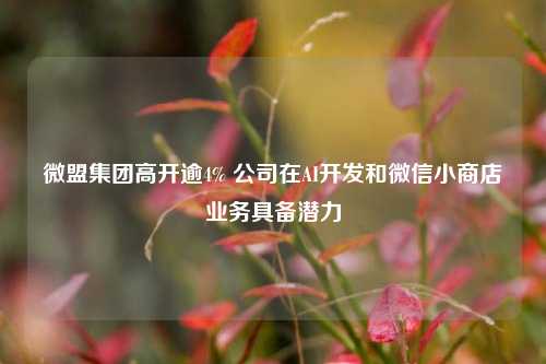 微盟集团高开逾4% 公司在AI开发和微信小商店业务具备潜力  第1张