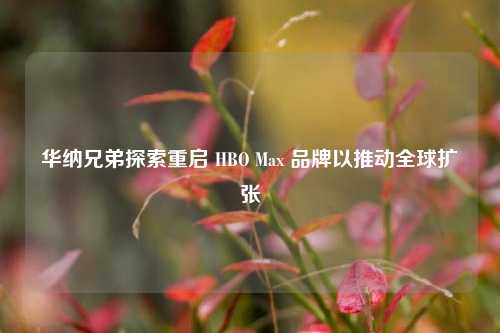 华纳兄弟探索重启 HBO Max 品牌以推动全球扩张  第1张