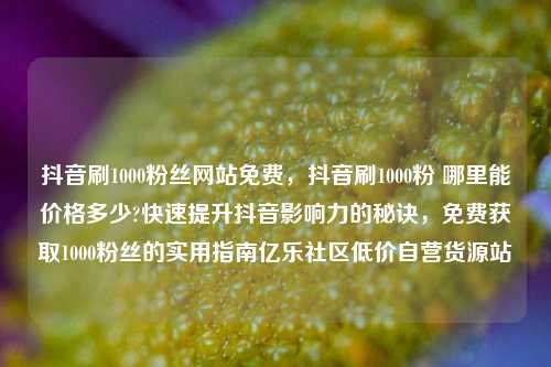 抖音刷1000粉丝网站免费，抖音刷1000粉 哪里能价格多少?快速提升抖音影响力的秘诀，免费获取1000粉丝的实用指南亿乐社区低价自营货源站  第1张