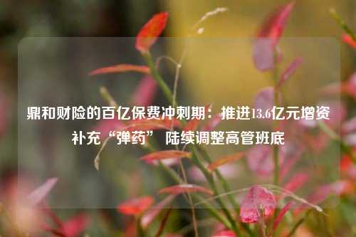 鼎和财险的百亿保费冲刺期：推进13.6亿元增资补充“弹药” 陆续调整高管班底  第1张