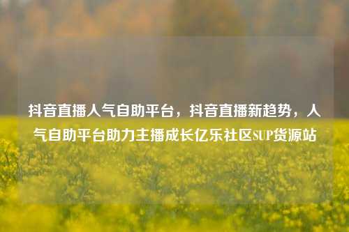 抖音直播人气自助平台	，抖音直播新趋势，人气自助平台助力主播成长亿乐社区SUP货源站  第1张