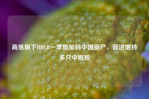 高瓴旗下HHLR一季度加码中国资产，新进增持多只中概股  第1张