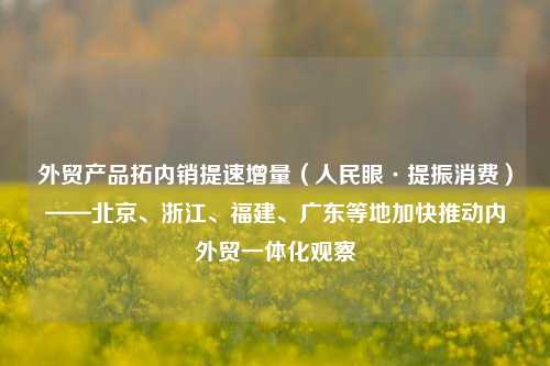 外贸产品拓内销提速增量（人民眼·提振消费）——北京、浙江	、福建、广东等地加快推动内外贸一体化观察  第1张