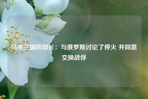 乌克兰国防部长：与俄罗斯讨论了停火 并同意交换战俘  第1张