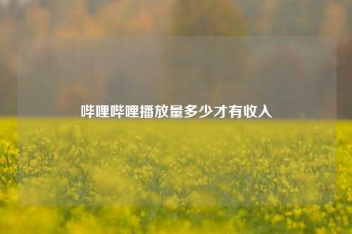 哔哩哔哩播放量多少才有收入  第1张