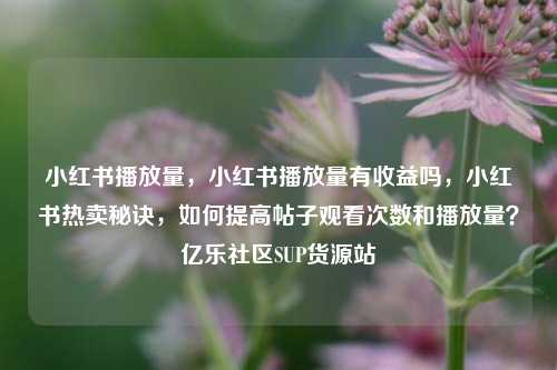 小红书播放量	，小红书播放量有收益吗，小红书热卖秘诀，如何提高帖子观看次数和播放量？亿乐社区SUP货源站  第1张