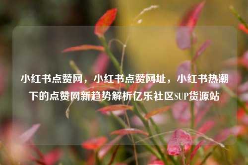 小红书点赞网，小红书点赞网址，小红书热潮下的点赞网新趋势解析亿乐社区SUP货源站  第1张