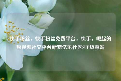 快手粉丝	，快手粉丝免费平台，快手，崛起的短视频社交平台新宠亿乐社区SUP货源站  第1张