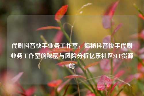 代刷抖音快手业务工作室	，揭秘抖音快手代刷业务工作室的秘密与风险分析亿乐社区SUP货源站  第1张